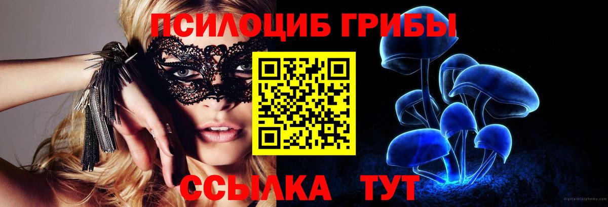 Галлюциногенные грибы Magic Shrooms Астрахань